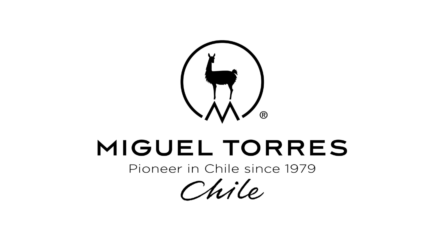 logos mayte-14