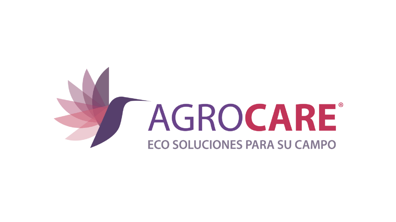 logos mayte-15